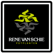Logo-Rene-van-Schie-Potplanten-vierkant---Footer