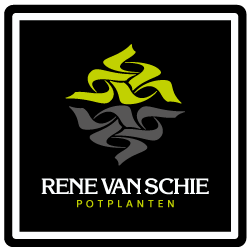 Logo-Rene-van-Schie-Potplanten-vierkant---Footer