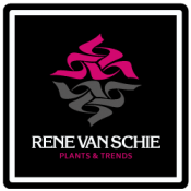 Logo-Rene-van-Schie-Potplanten-vierkant-Plants-&-Trends-Footer