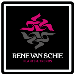 Logo-Rene-van-Schie-Potplanten-vierkant-Plants-&-Trends-Footer
