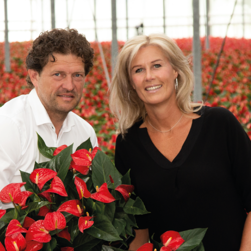 Contact - Rene & Karin van Schie Potplanten - 2019